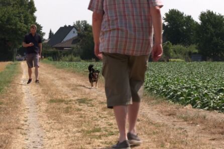 Ein Mann geht auf einem Feldweg und blickt auf sein Handy. Sein Hund läuft auf der anderen Seite des Weges, so dass die Hundeleine zwischen ihnen hängt. Ein weiterer Mann, den man in der Rückansicht sieht, geht ihnen in der Mitte des Weges entgegen.
